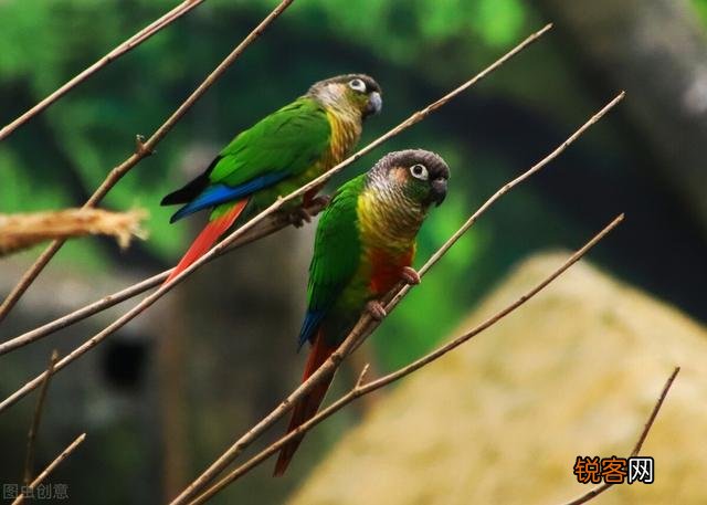 求靠谱的兼职推荐？