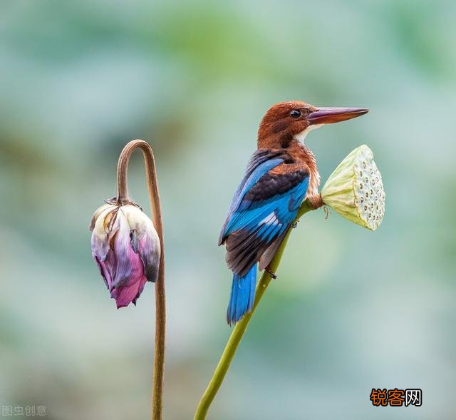 求靠谱的兼职推荐？