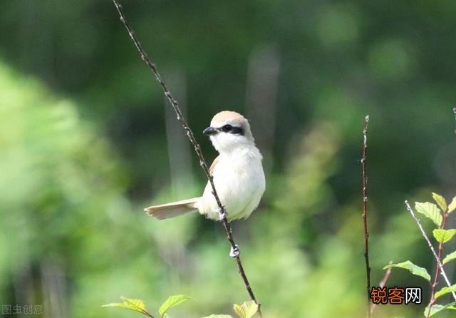 求靠谱的兼职推荐？