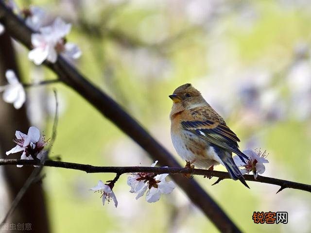 求靠谱的兼职推荐？