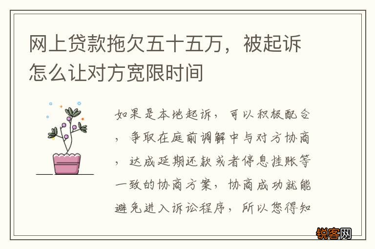 网上贷款拖欠五十五万，被起诉怎么让对方宽限时间