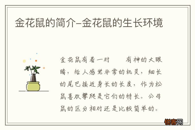 金花鼠的简介-金花鼠的生长环境