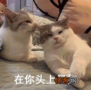 想寻求长期在家就能做的兼职,有没有好的推荐？