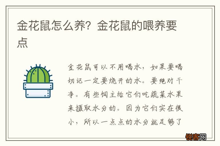 金花鼠怎么养？金花鼠的喂养要点
