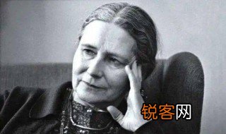 屋顶丽人故事简介 屋顶丽人的出处