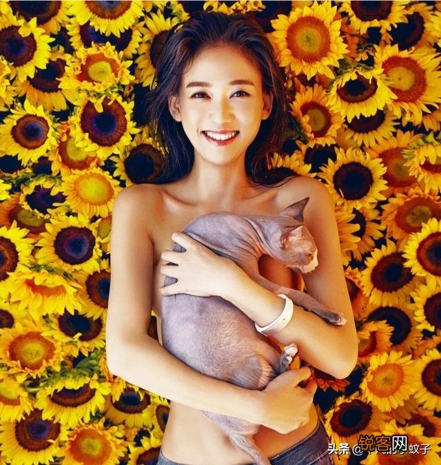 娱乐圈身材堪称“完美”的女星有哪些？