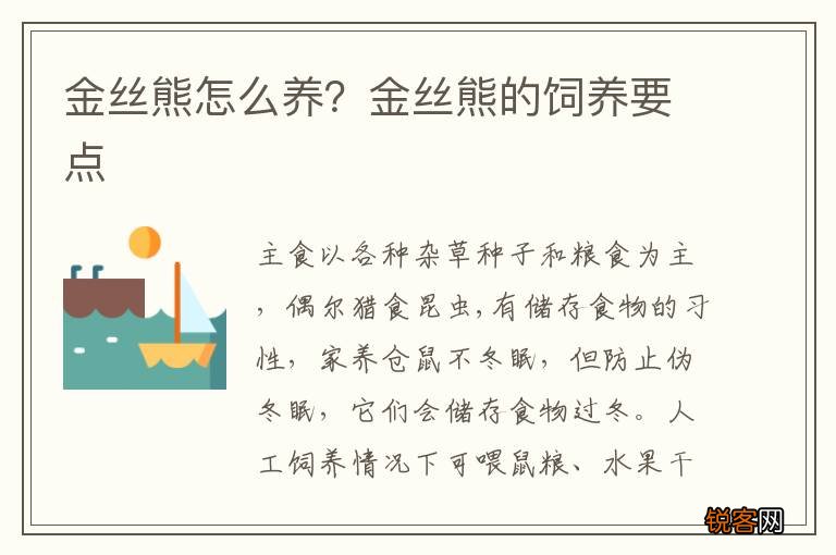 金丝熊怎么养？金丝熊的饲养要点
