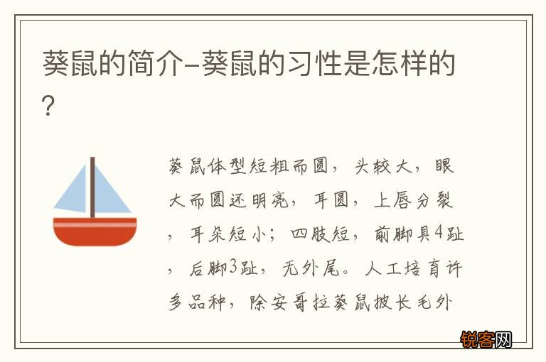 葵鼠的简介-葵鼠的习性是怎样的？