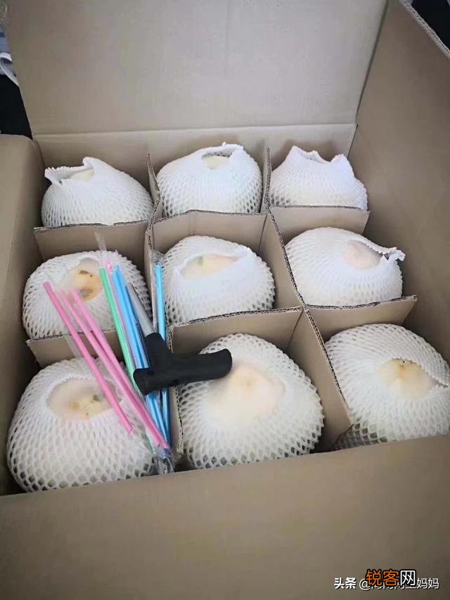 有什么网络副业可做？