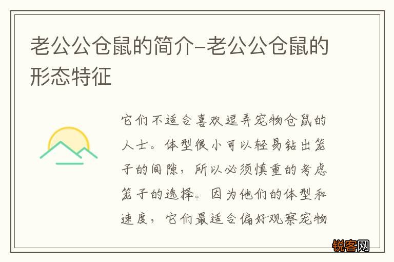 老公公仓鼠的简介-老公公仓鼠的形态特征