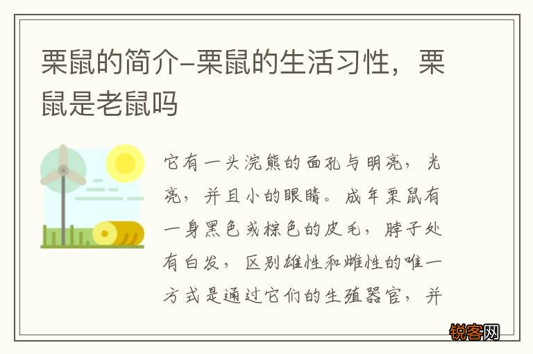 栗鼠的简介-栗鼠的生活习性，栗鼠是老鼠吗