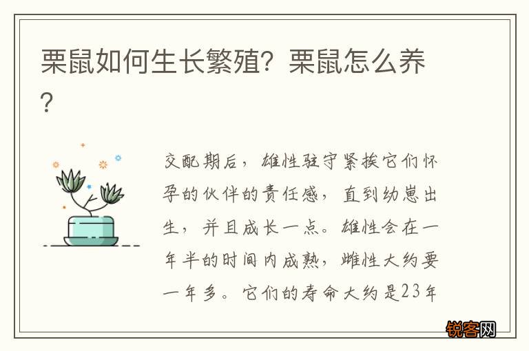 栗鼠如何生长繁殖？栗鼠怎么养？