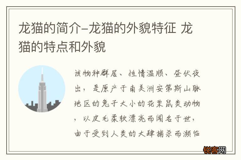龙猫的简介-龙猫的外貌特征 龙猫的特点和外貌