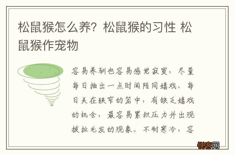松鼠猴怎么养？松鼠猴的习性 松鼠猴作宠物