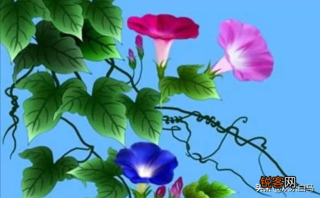 有没有很励志正能量的句子？