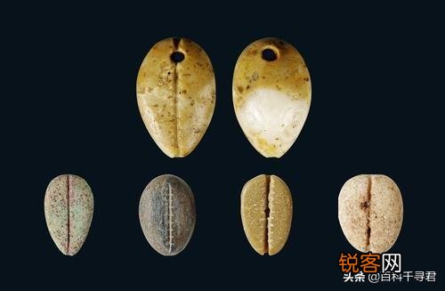 古代用贝壳做货币,为什么穷人不多捡贝壳,让自己一夜暴富？