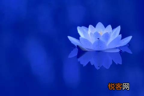 吕雉为什么对戚姬那么残忍？