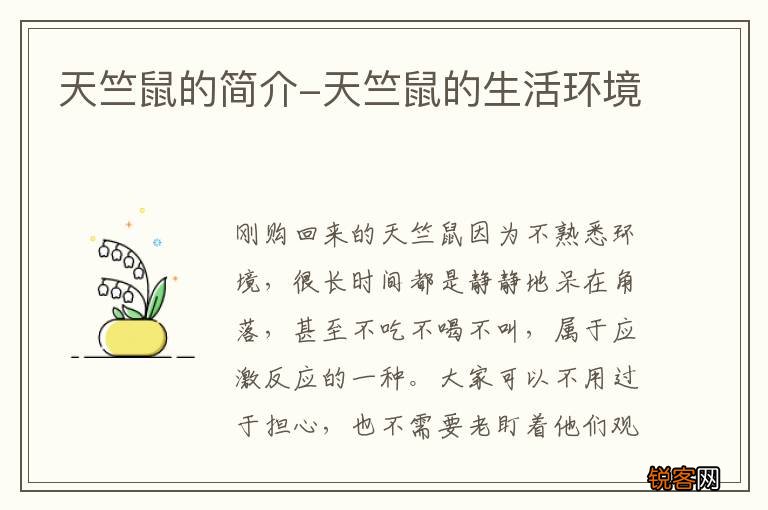 天竺鼠的简介-天竺鼠的生活环境