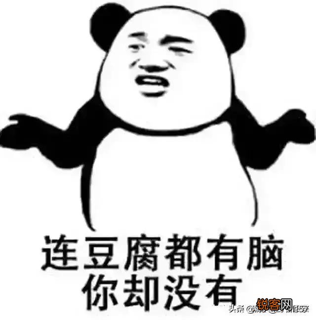 如何看待越来越多大龄剩女宁愿养狗猫当伴侣,也不愿结婚生子？