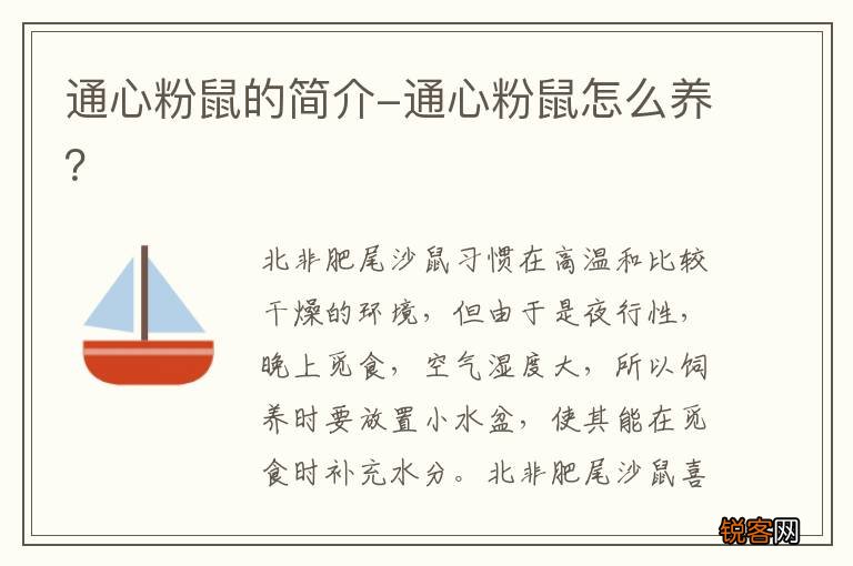 通心粉鼠的简介-通心粉鼠怎么养？