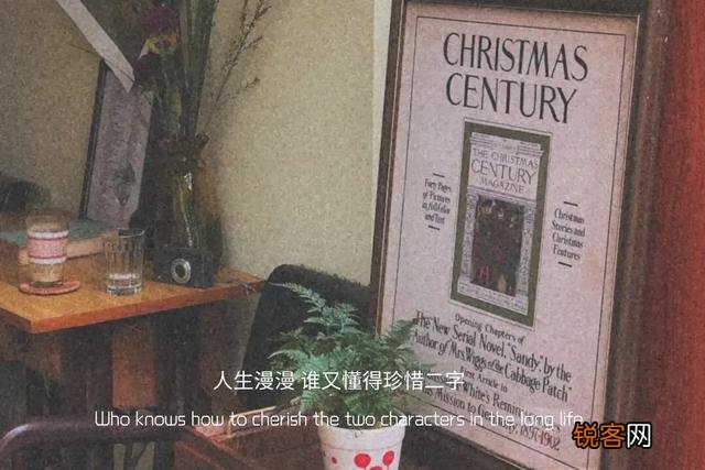 有哪些“话粗理不粗”的道理？