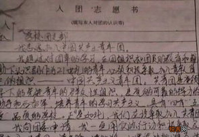 参加团组织申请书
