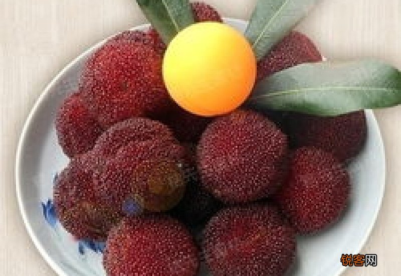 杨梅发霉长毛可以吃吗