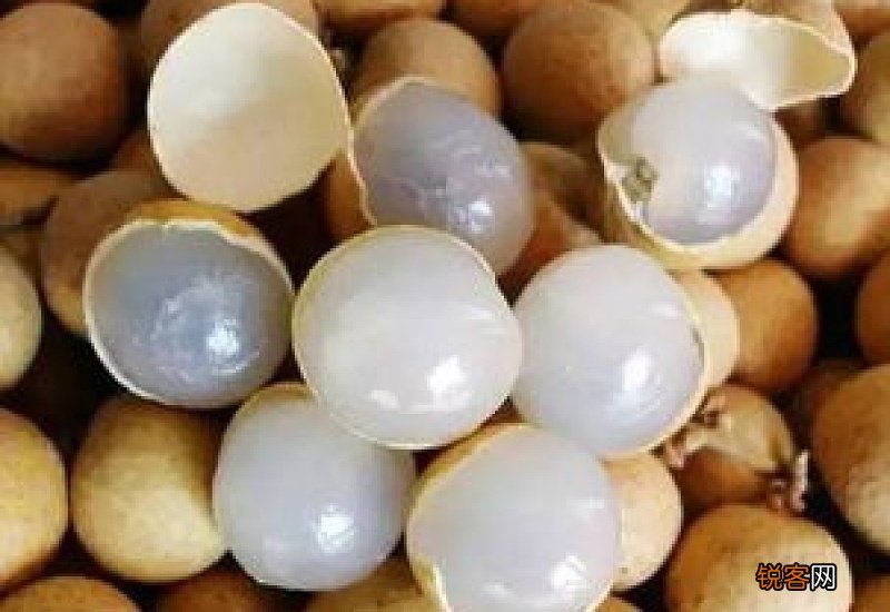 桂圆功效有哪些 桂圆有什么功效作用