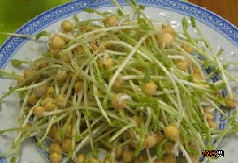 豌豆芽二次发芽还可以吃吗