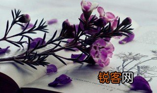 征人去日殷勤嘱归雁来时数附书的意思 征人去日殷勤嘱归雁来时数附书的解释