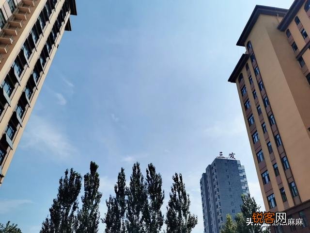 “选择很重要,你今天的生活是由三年前的选择决定的”你认同这句话吗？为什么？