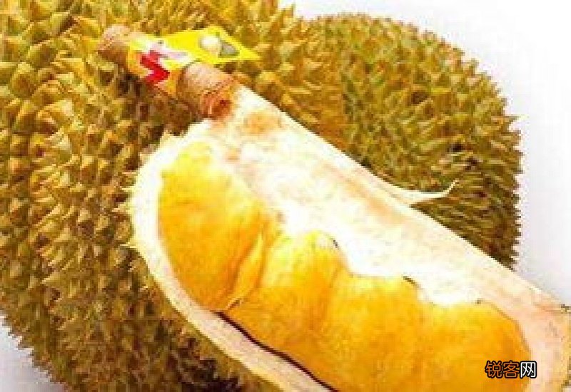 榴莲和什么相克