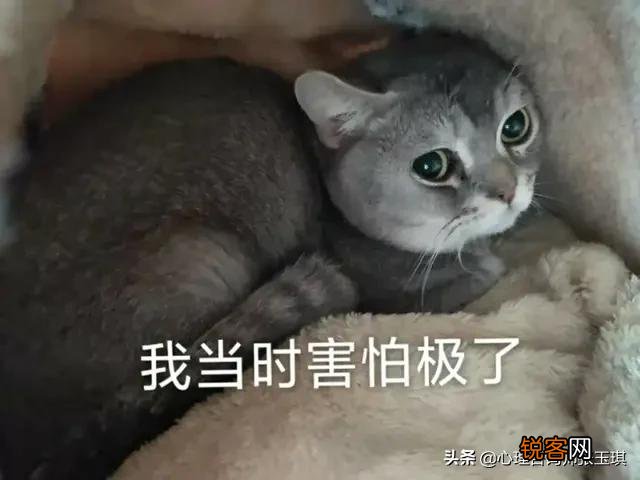 为什么孩子会故意激怒父母以获得负面的关注,是什么心理机制？
