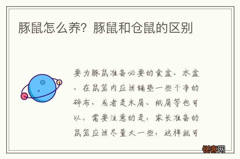 豚鼠怎么养？豚鼠和仓鼠的区别