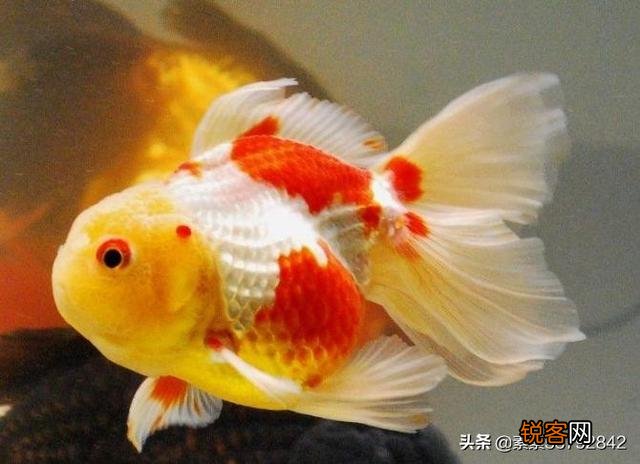 南宁父亲担心患精神病的儿子伤人自己担责,用铁棒打死儿子：涉故意杀人罪,一审获刑12年, 你怎么看？