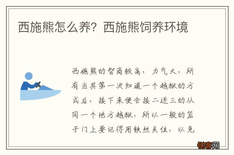 西施熊怎么养？西施熊饲养环境