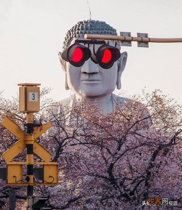 有哪些最新的经典的笑话或者段子？