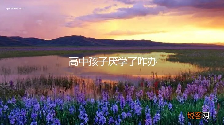 高中孩子厌学了咋办
