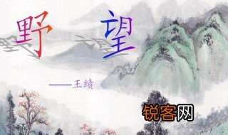 野望古诗 野望是谁写的