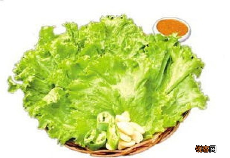 留种的生菜什么时间收获