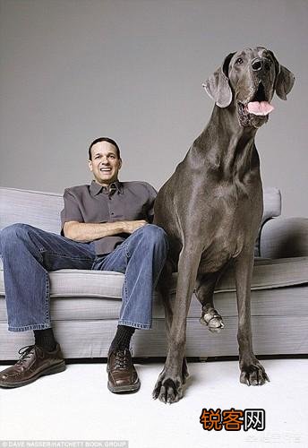 世界上最大的狗狗有多重？