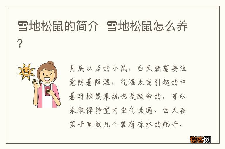 雪地松鼠的简介-雪地松鼠怎么养？