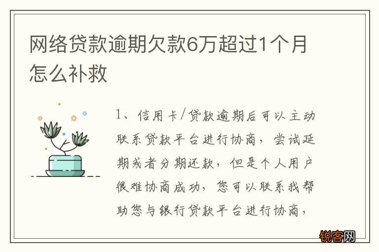 网络贷款逾期欠款6万超过1个月怎么补救