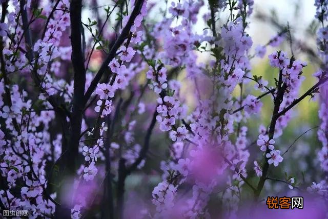请你对下联：出句：秋花不减春花艳；对句？