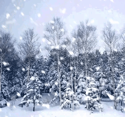 出上联：春夏秋冬花开艳,下联应该怎么对？