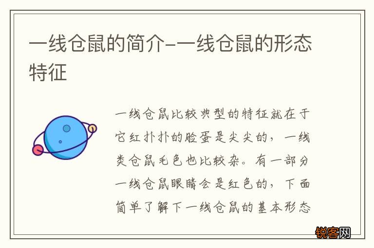 一线仓鼠的简介-一线仓鼠的形态特征
