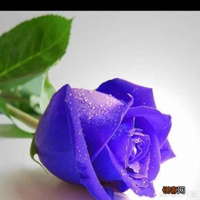 上联：锦上添花花更艳,下联怎么对？