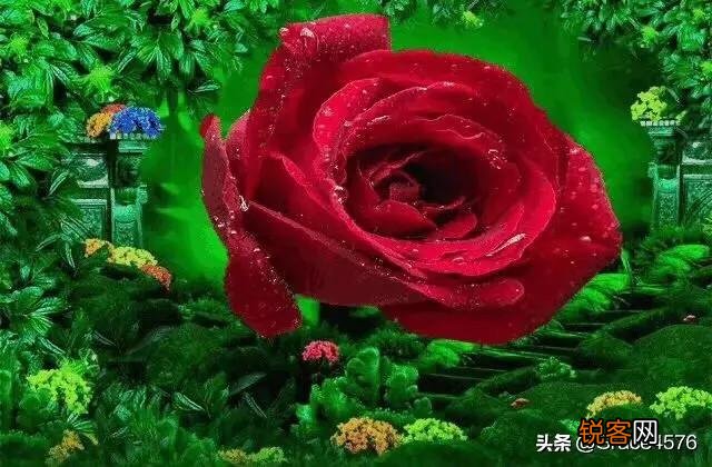 心有独钟花更艳,另一联你怎么对？