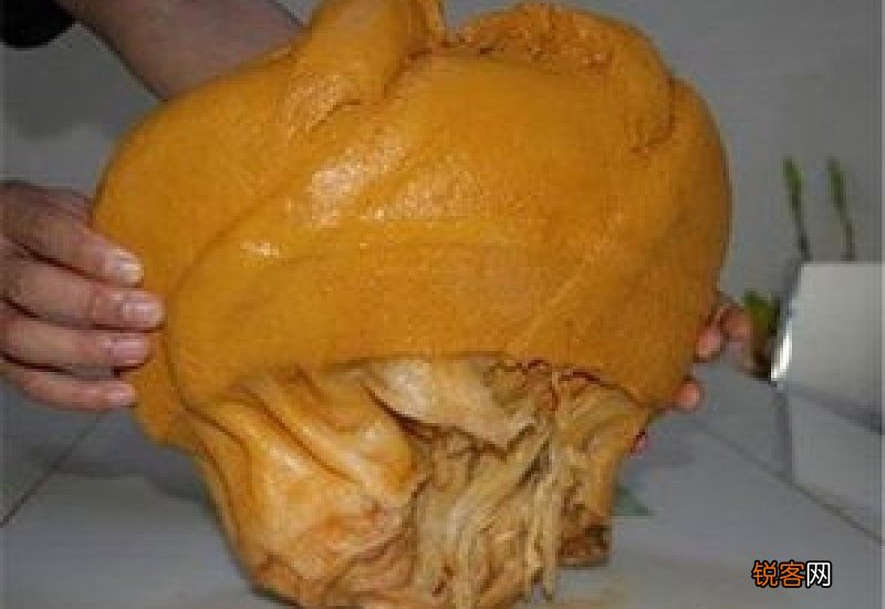 太岁是什么东西