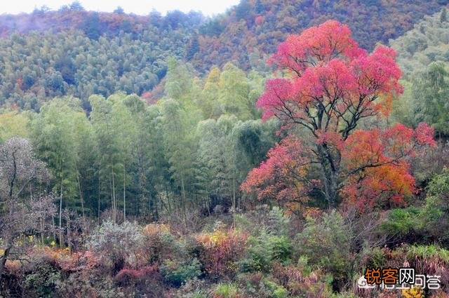 摄影用大光圈就一定、必须能拍出“虚化”效果吗?为什么呐？